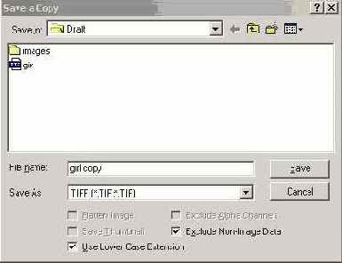 Диалоговое окно Save a Copy